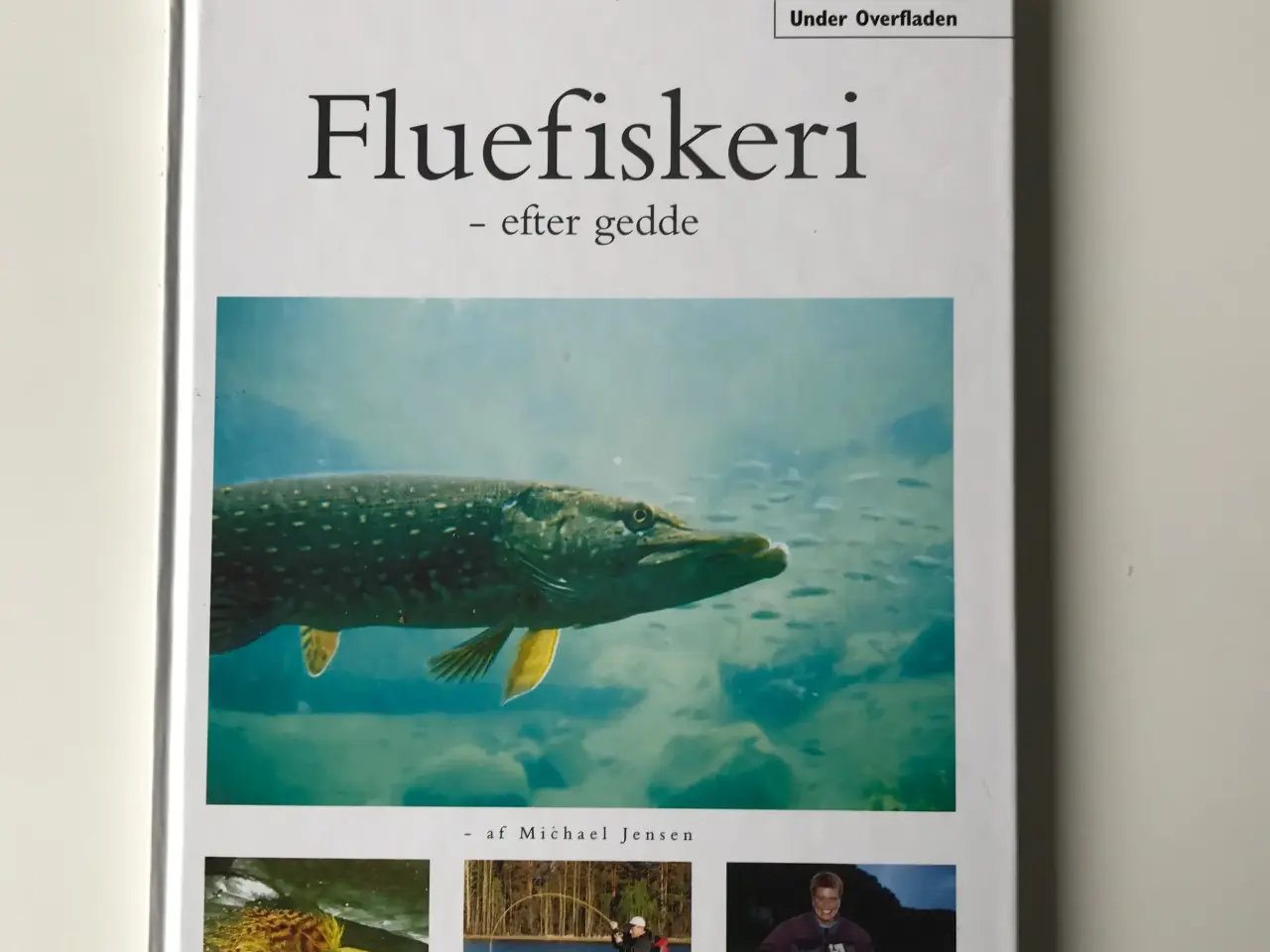 Billede 1 - Fluefiskeri - efter gedde af Michael Jensen