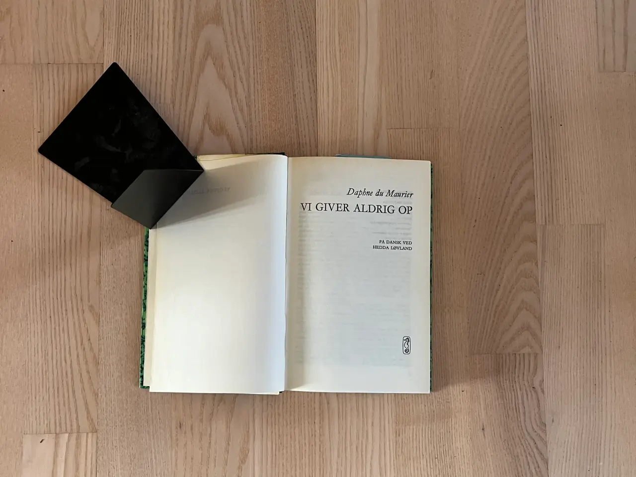 Billede 2 - Vi giver aldrig op af Daphne du Maurier