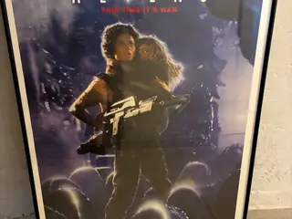 Indrammet filmplakater 70x110 cm