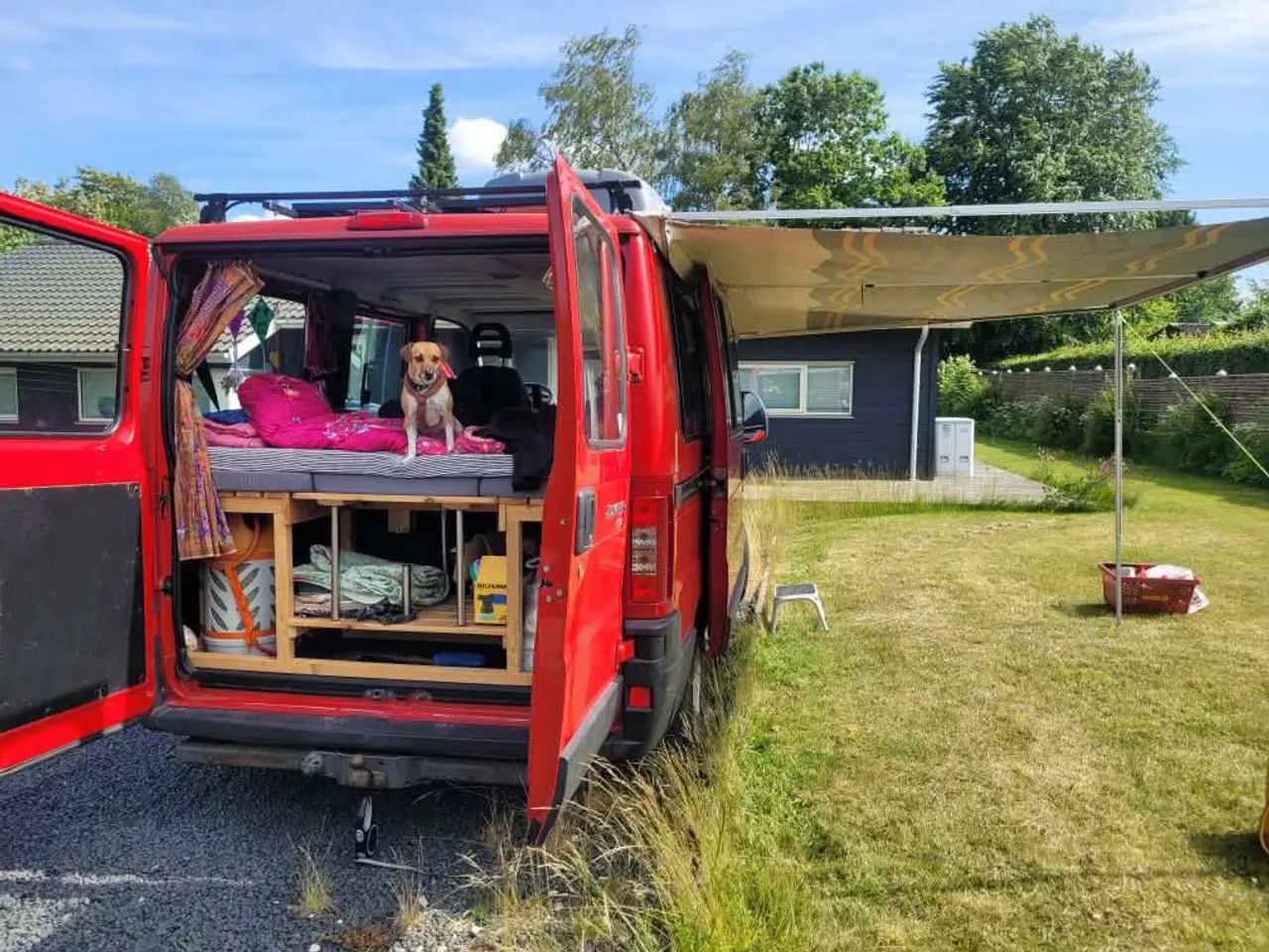 Billede 4 - Nu skal vores dejlige Jumper videre på nye eventyr