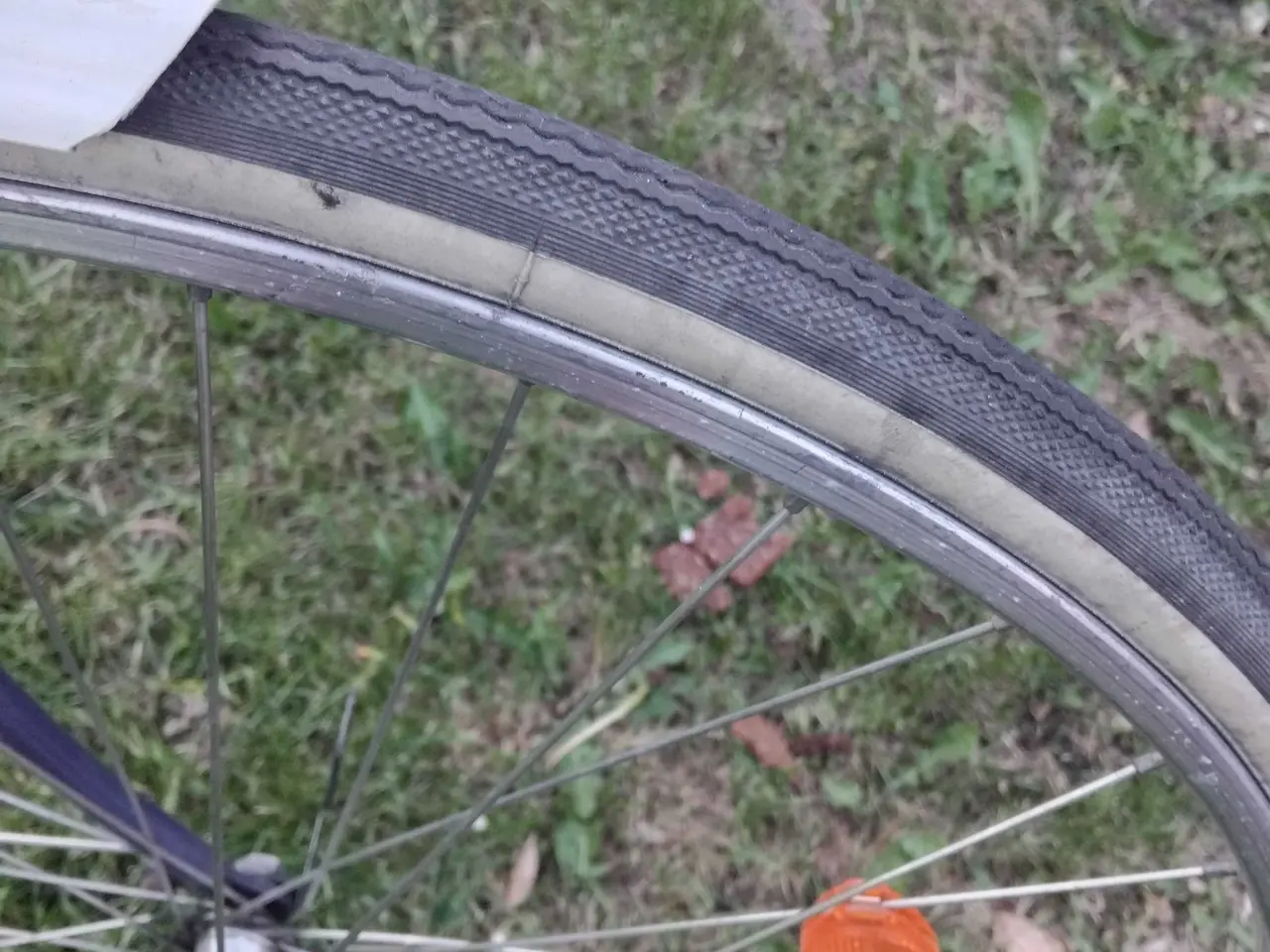 Billede 5 - Raleigh