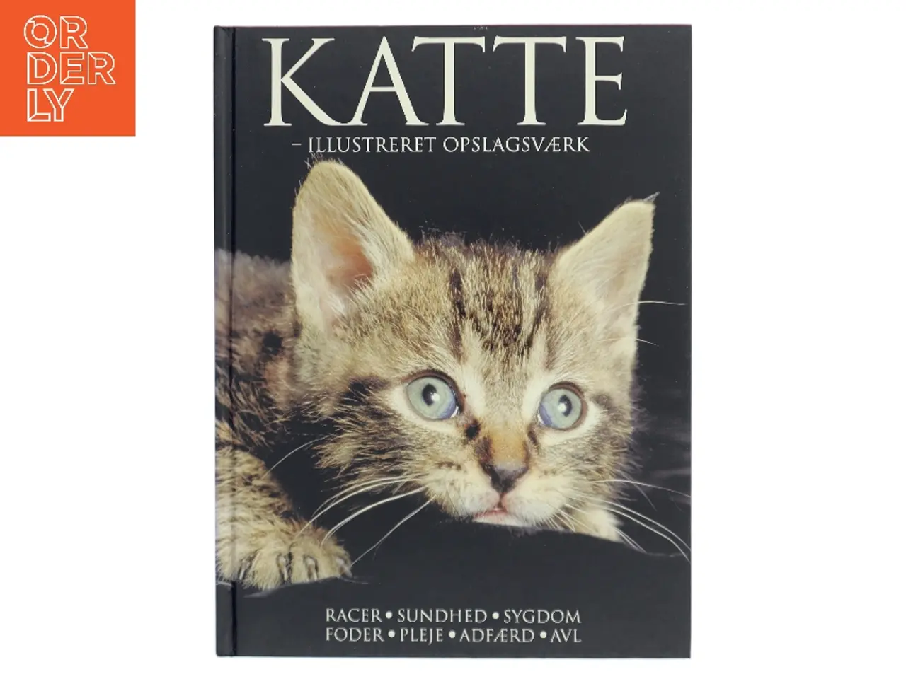Billede 1 - Katte : illustreret opslagsværk af Lin Esposito (Bog)