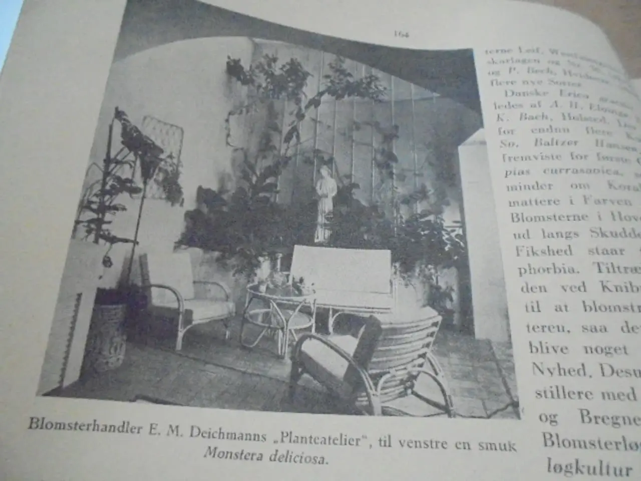 Billede 6 - Magasinet ”Haven” – årgang 1939 og 1940