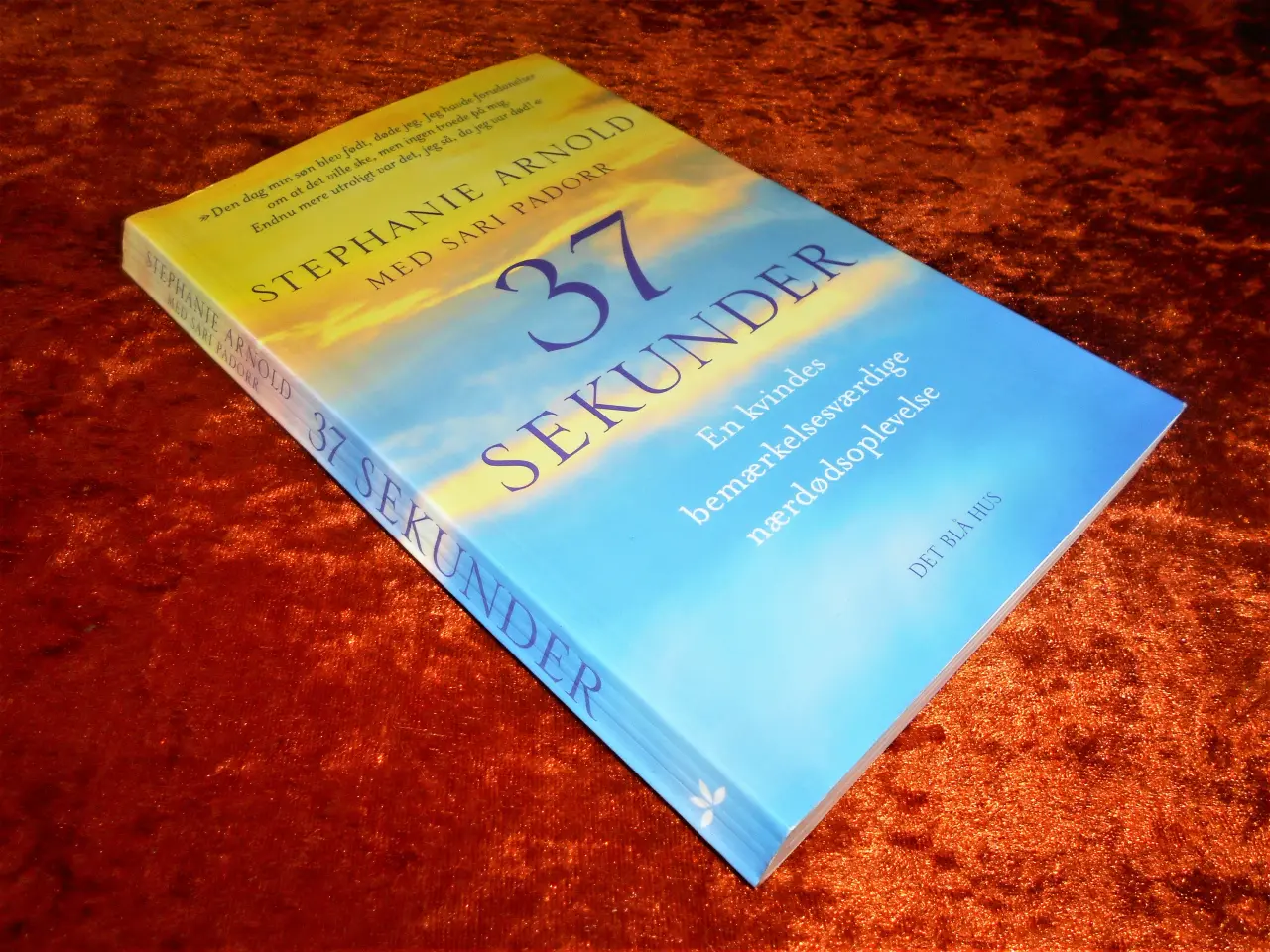 Billede 1 - 37 sekunder, Stephanie Arnold