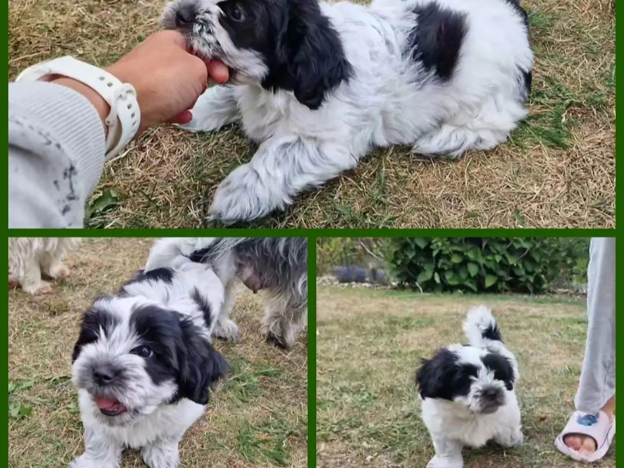 Billede 1 - Boomer dreng Rejseklar