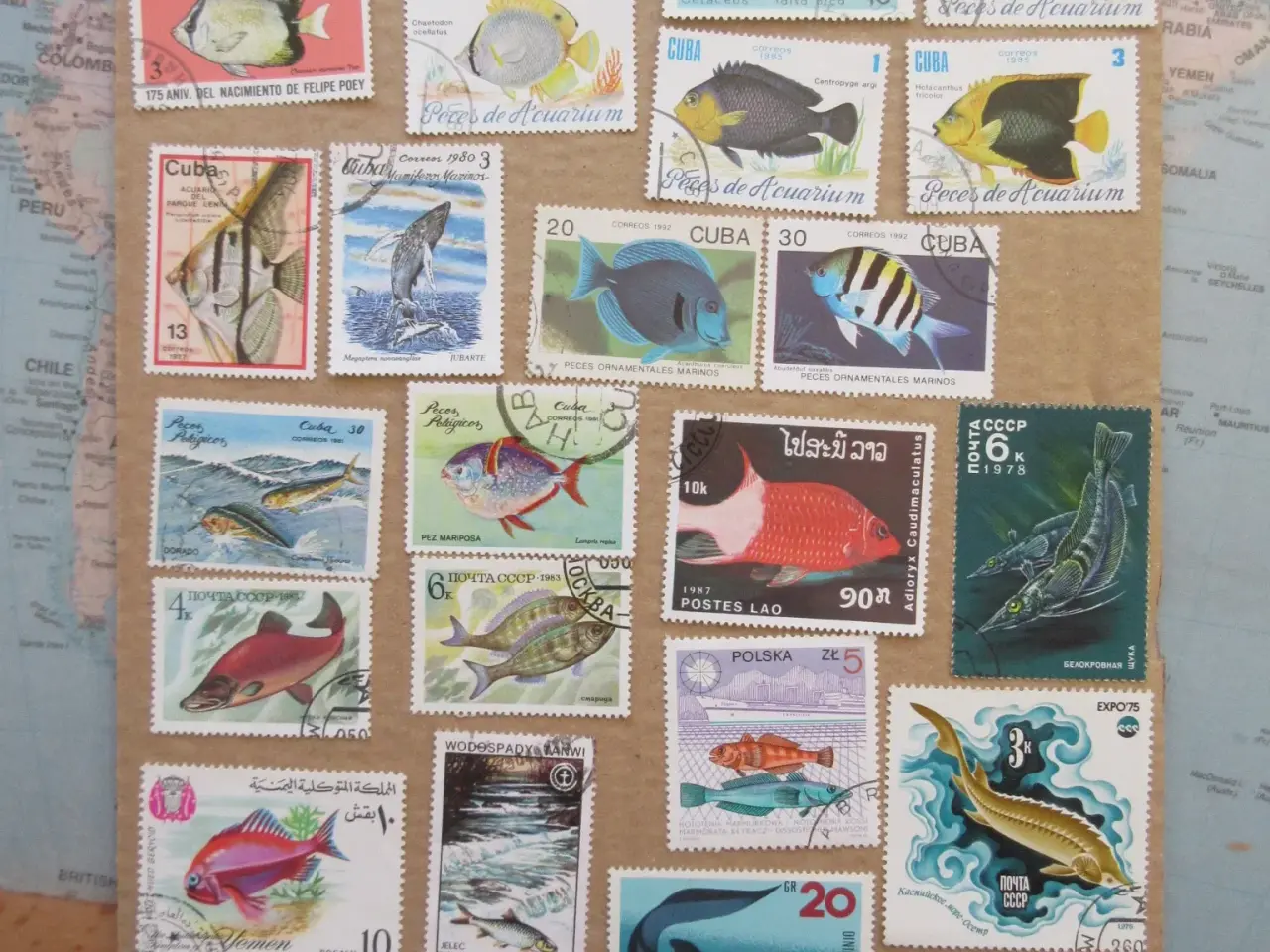 Billede 2 - Over 100 flotte frimærker med Fisk