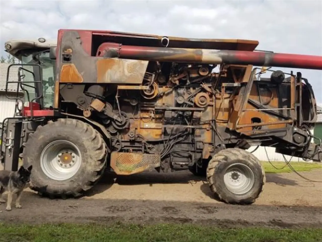 Billede 3 - Massey Ferguson 9280AL 4X4  sælges i dele/For parts