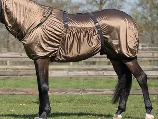 eksemdækken brun til hest 