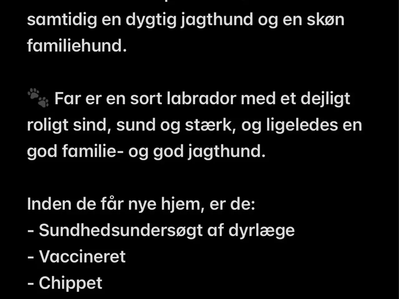 Billede 9 - Arlo og Marley🐶