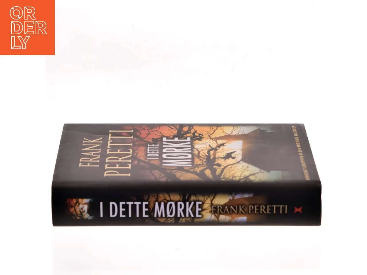 Billede 2 - I dette mørke af Frank E. Peretti (Bog)