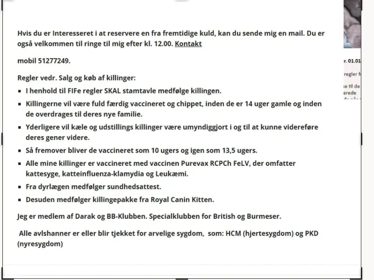 Billede 10 - DK Færge`s Bente efter gamle klassiske blå linjer