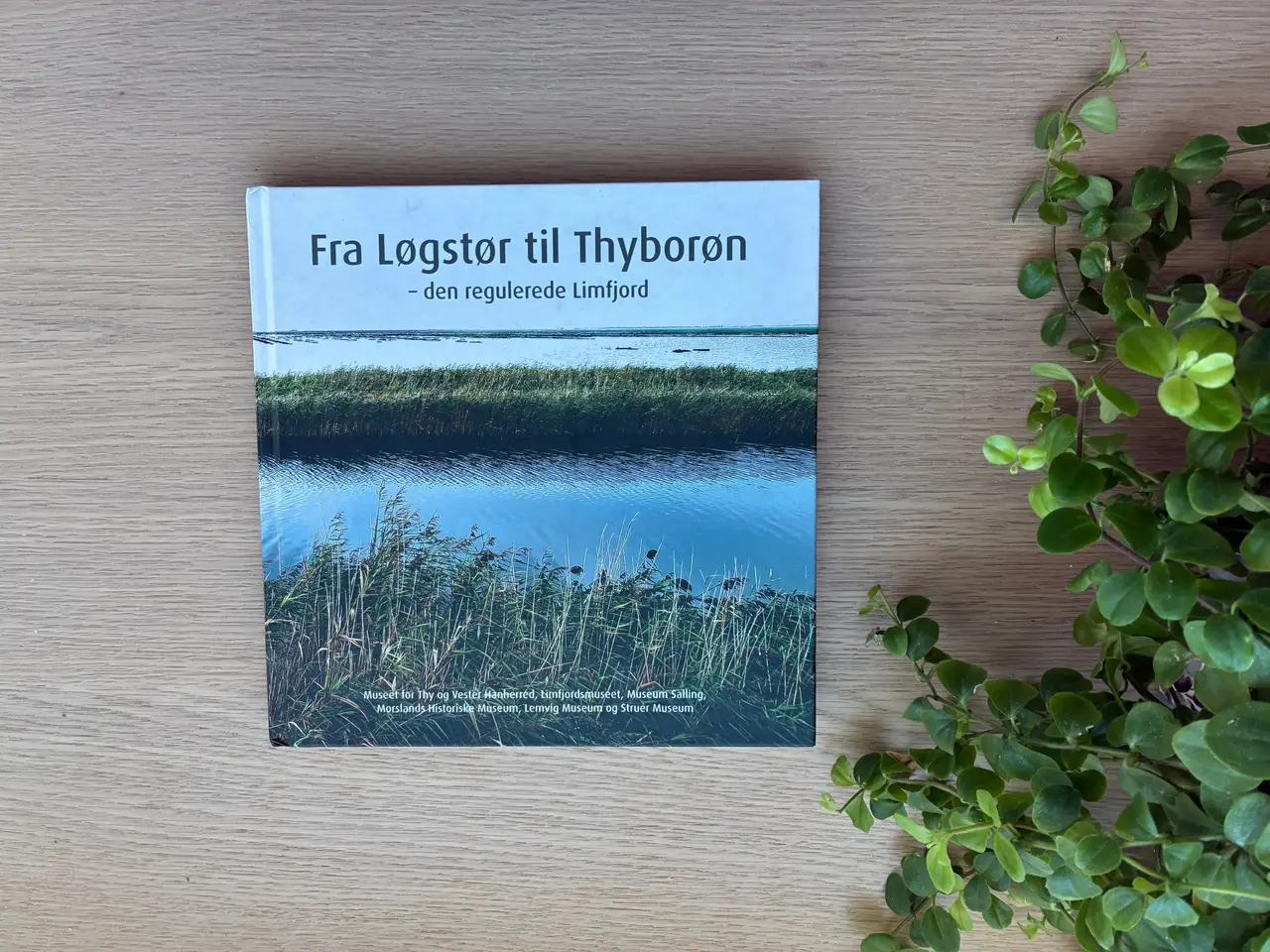 Billede 1 - Fra Løgstør til Thyborøn - den regulerede Limfjord
