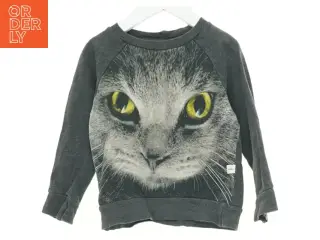 Sweatshirt med kattemotiv fra Molo (str. 98 cm)