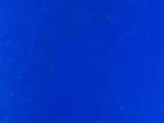 SkilPro SUPERIOR 9500 Jewel Metallic 95JBL  Blue Folie