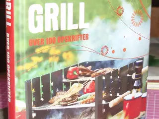 Grill over 100 opskrifter