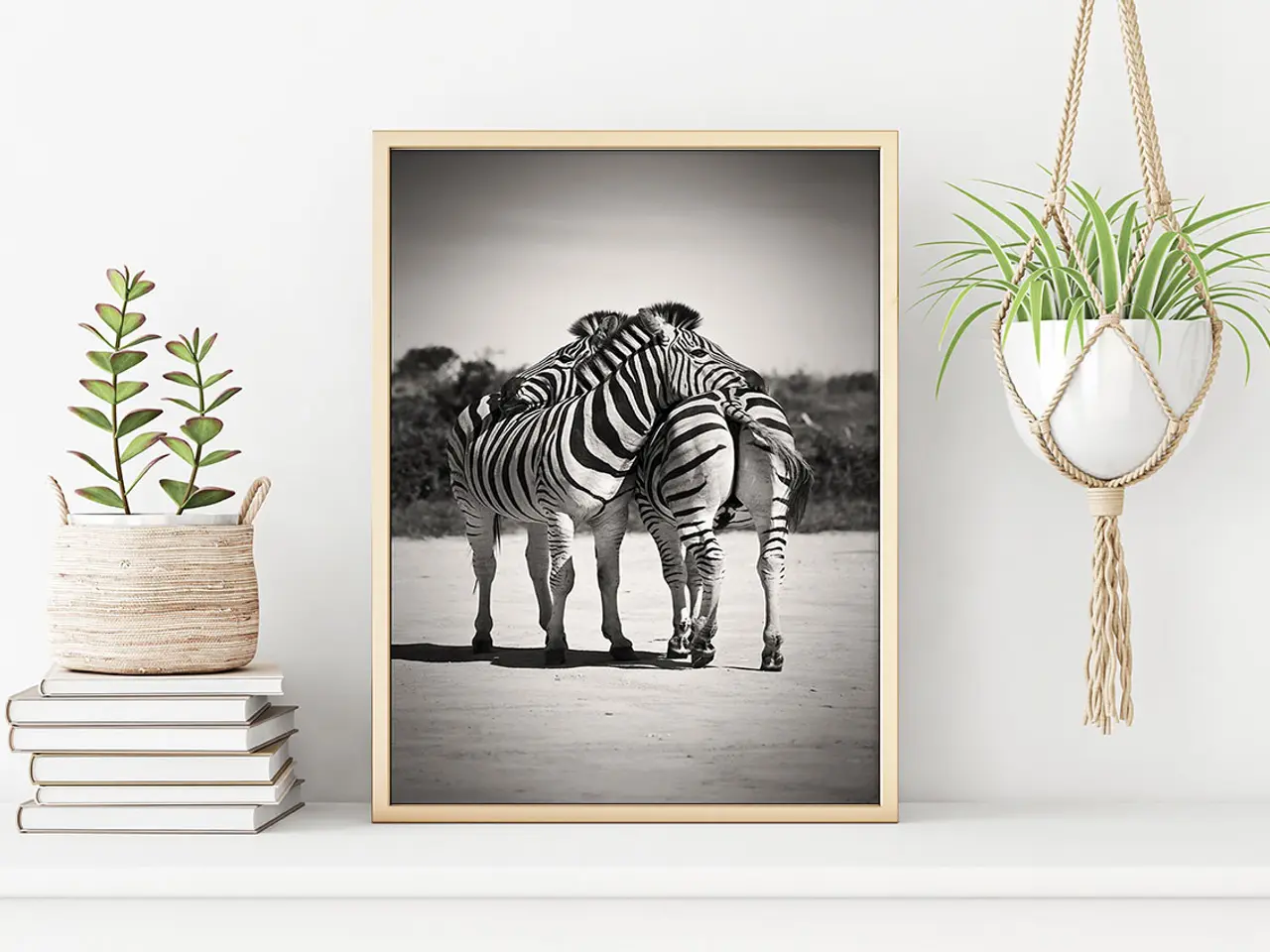 Billede 1 - Plakat Zebrakram 50x70cm