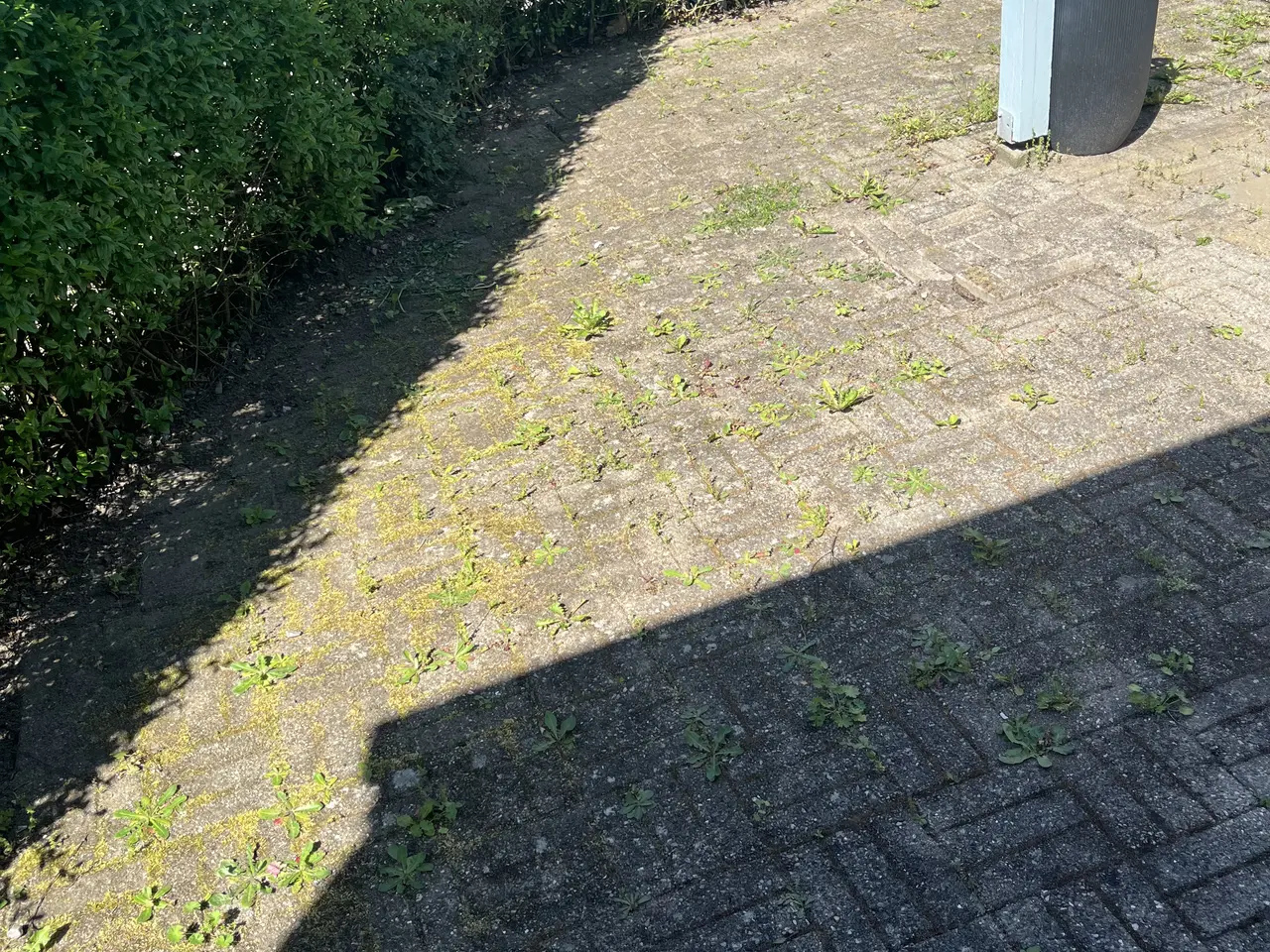 Billede 6 - Fliser gratis afhentning 