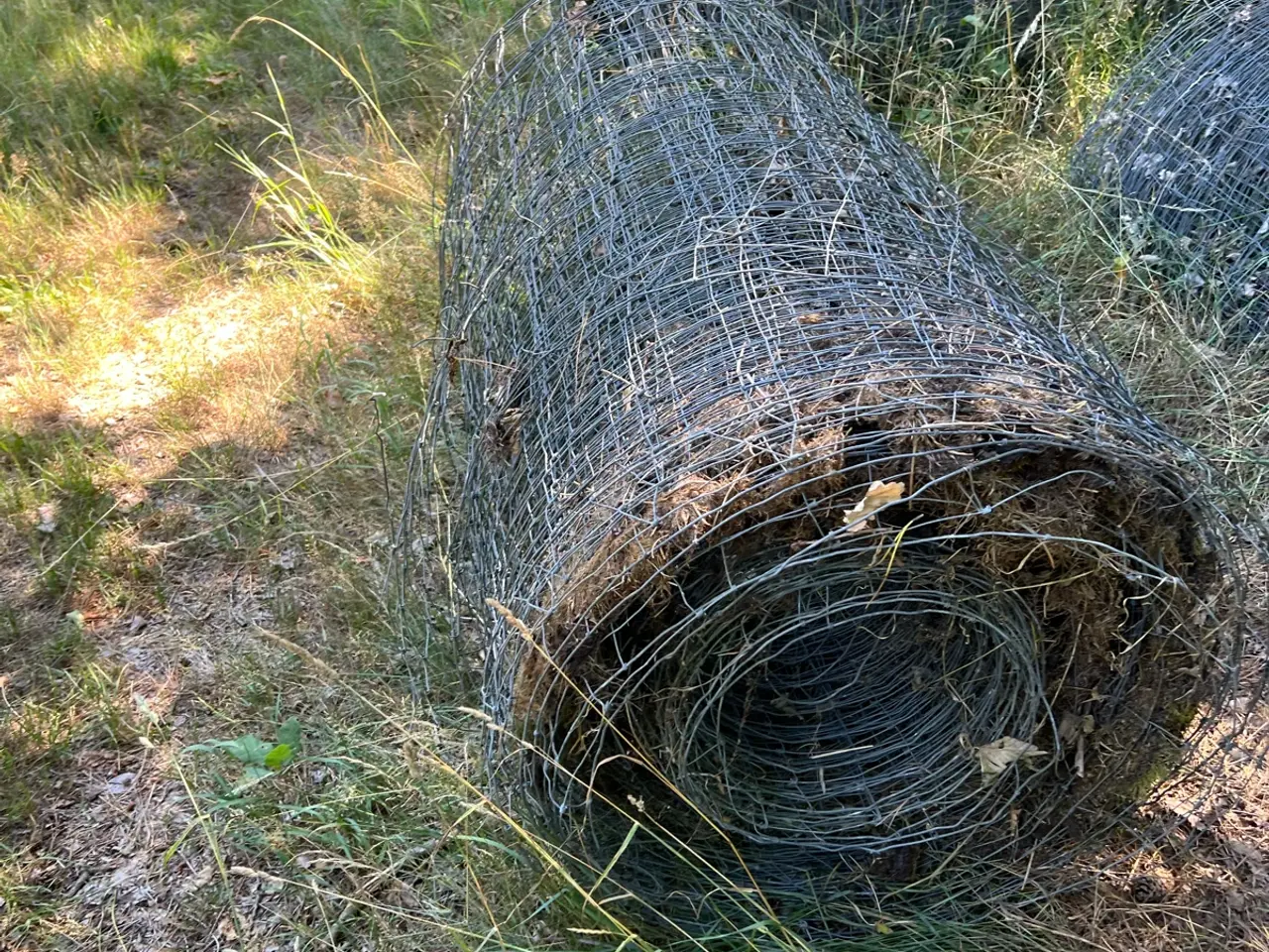 Billede 6 - Vildthegn 160 cm