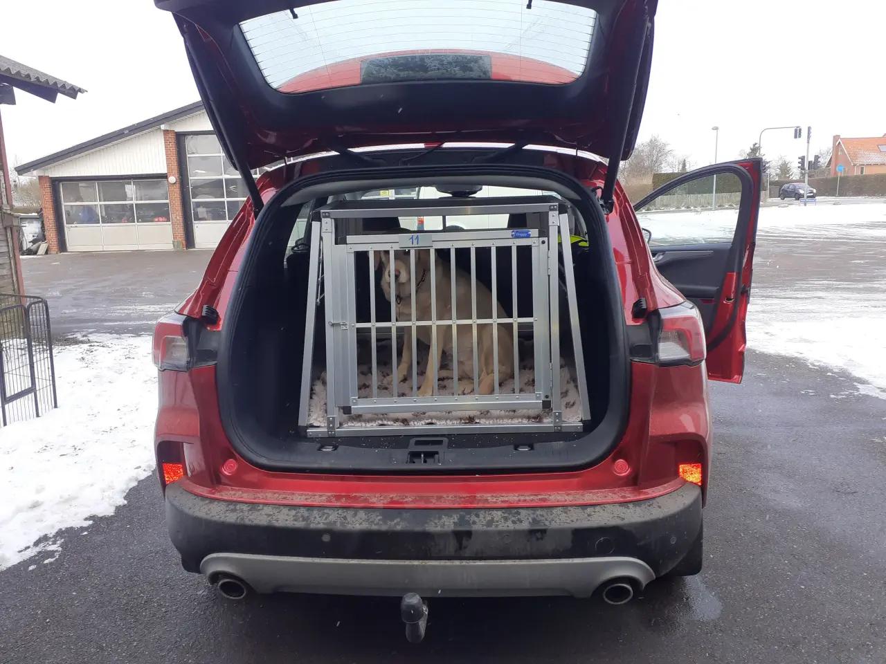 Billede 3 - Hundebur Ford Kuga