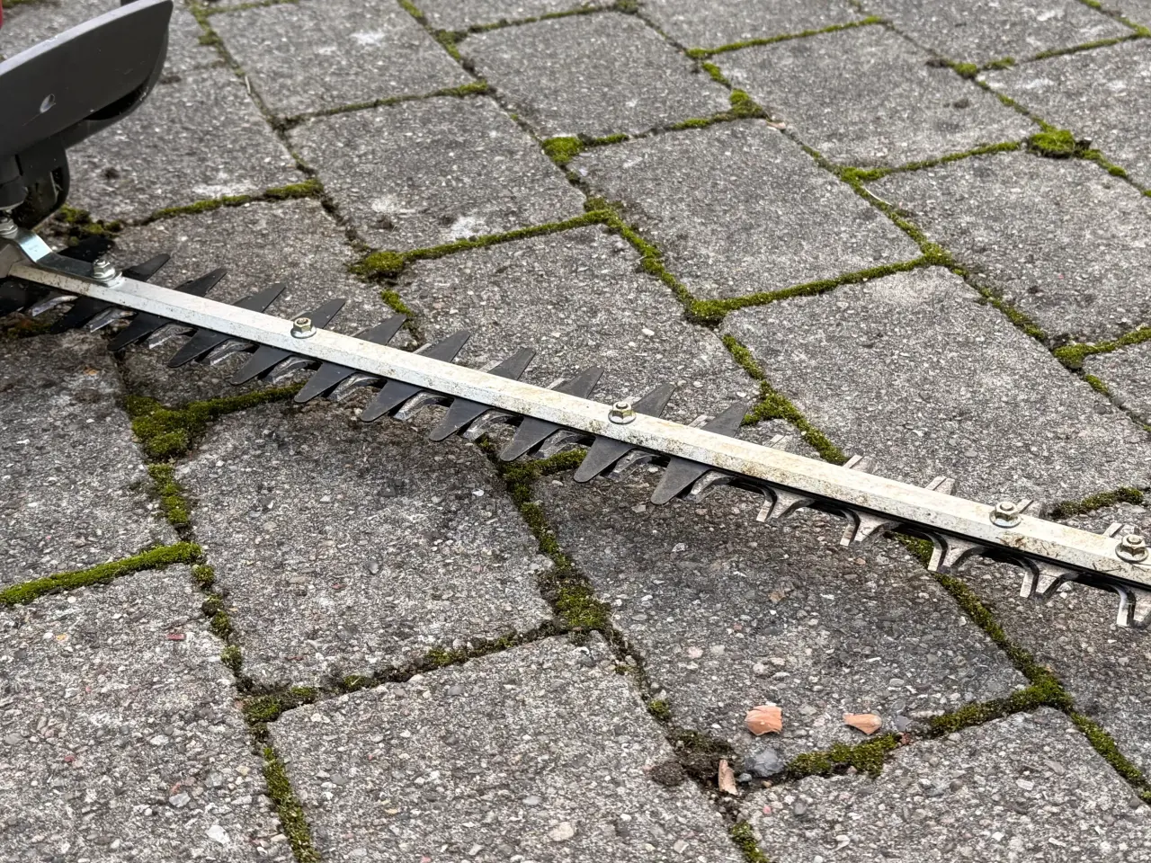 Billede 3 - Honda hækkeklipper