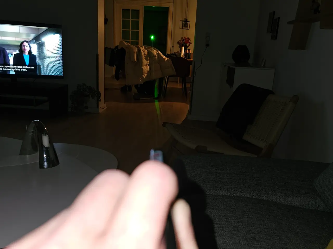 Billede 1 - laserpointer professionel 