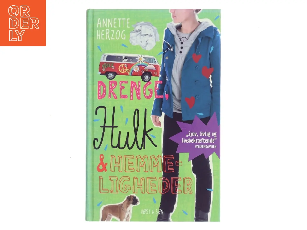 Billede 1 - Drenge, hulk & hemmeligheder af Annette Herzog (Bog)