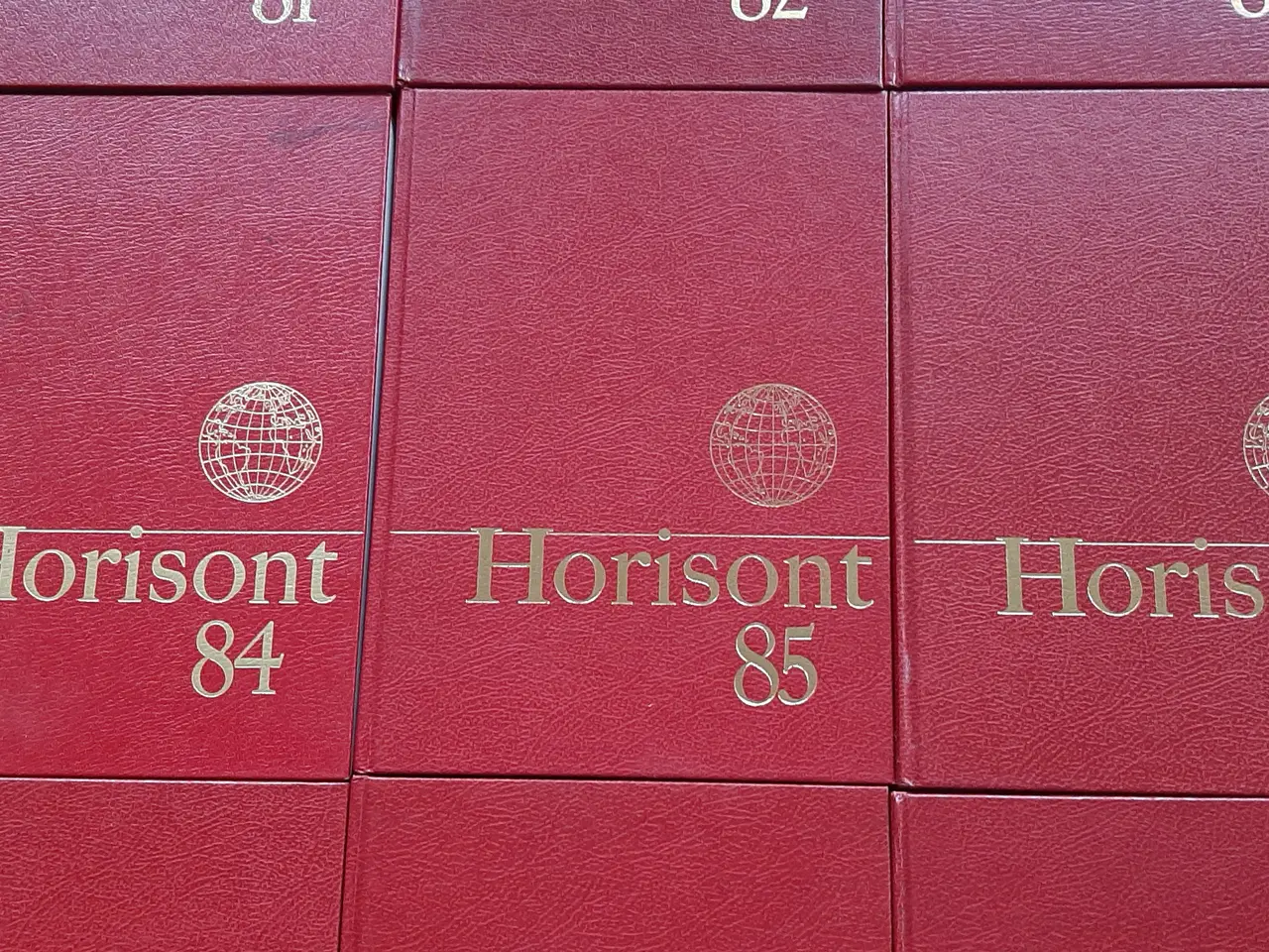 Billede 3 - Horisont 1981 - 1989