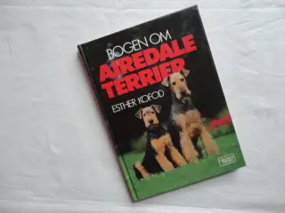 Terrier Airedale