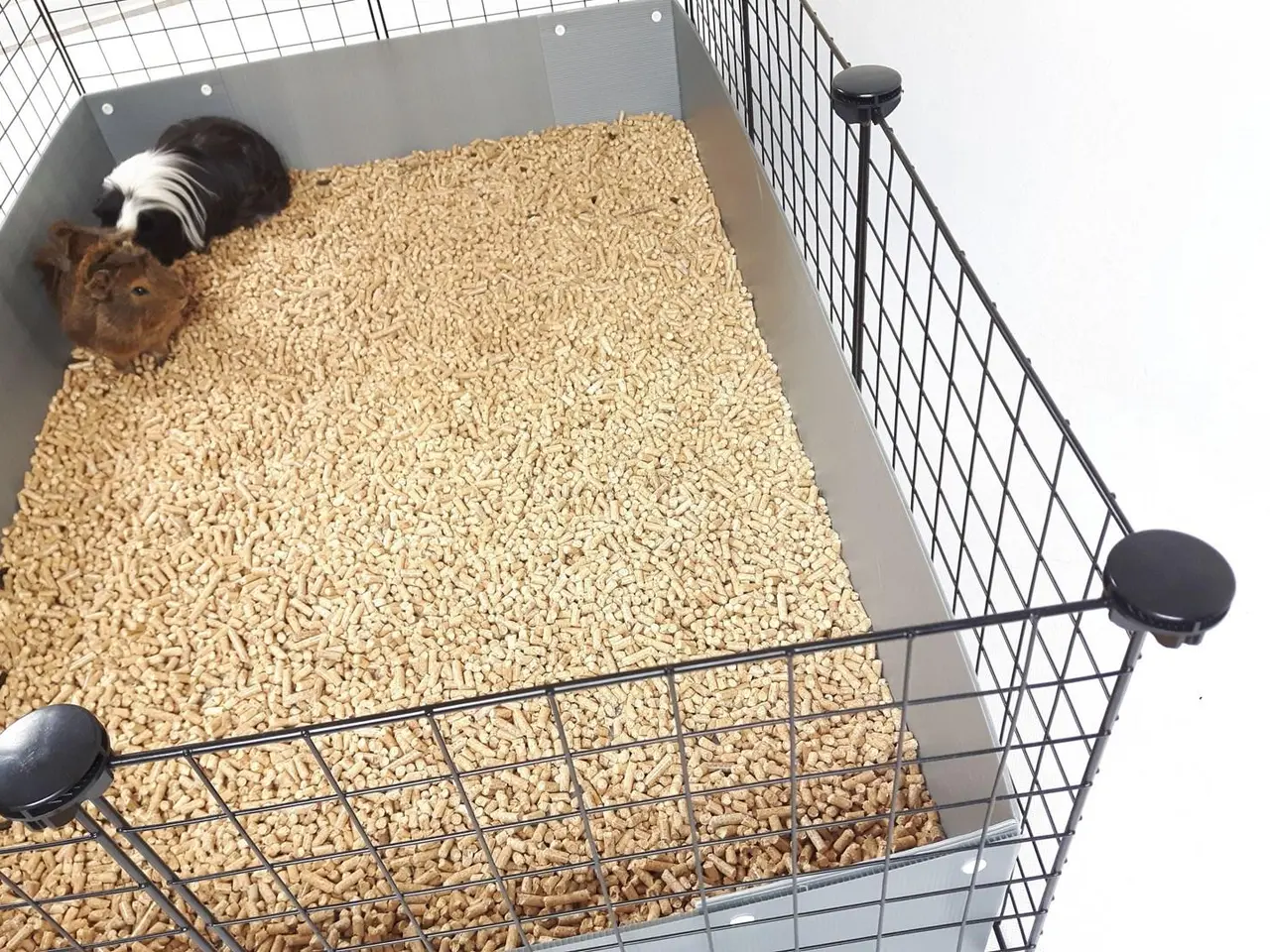 Billede 6 - Modulbur C&C 4x2 med loft 2x1 og sort rampe