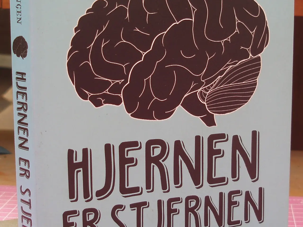 Billede 1 - Hjernen er stjernen af Kaja Nordengen