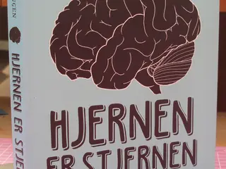 Hjernen er stjernen af Kaja Nordengen