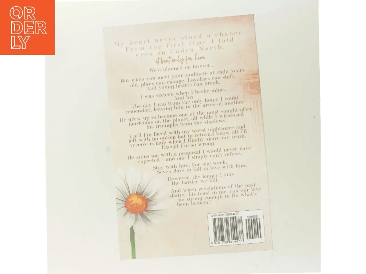 Billede 3 - Broken Strings af Pamela O'Rourke (Bog)
