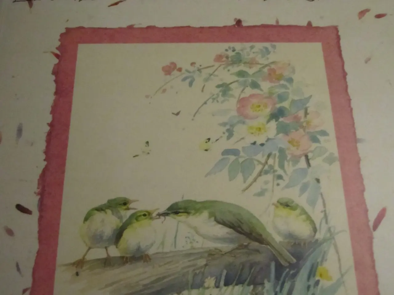 Billede 2 - NATURDAGBOG Af En Engelsk Dame År 1906.