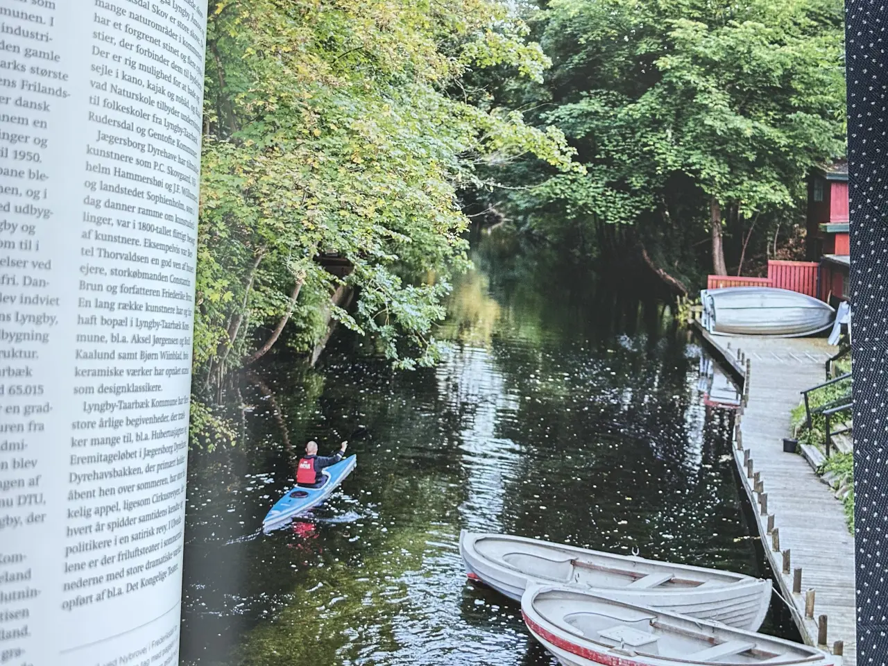 Billede 2 - Lyngby-Taarbæk Kommunes natur, kultur mm