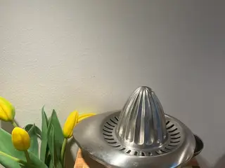Flot vintage citruspresser – unikt retro-design