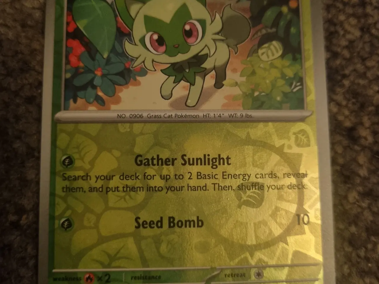 Billede 12 - Annonce 65 - Pokemon