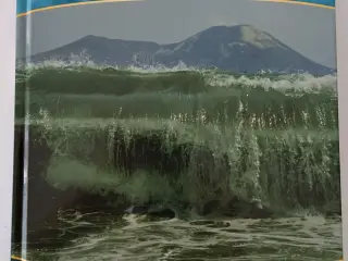 Tsunami Af Anne Rooney