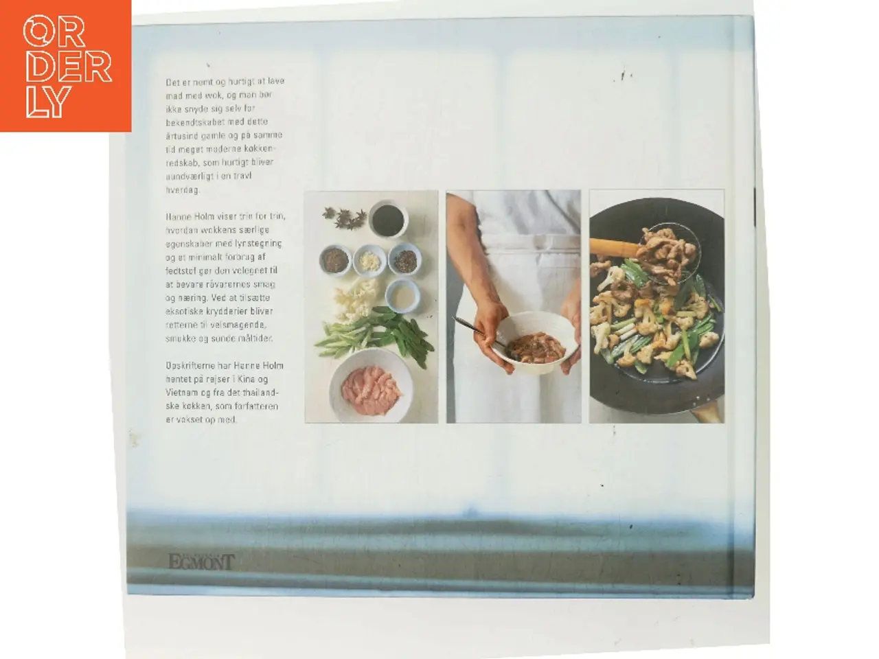 Billede 3 - Wok – trin for trin af Hanne Holm (Bog)