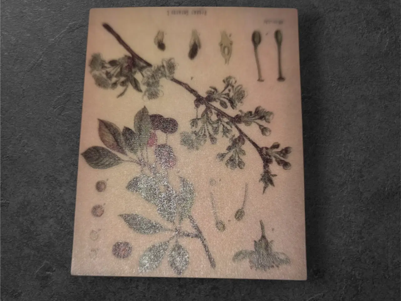 Billede 1 - Annonce 11 - Hobby