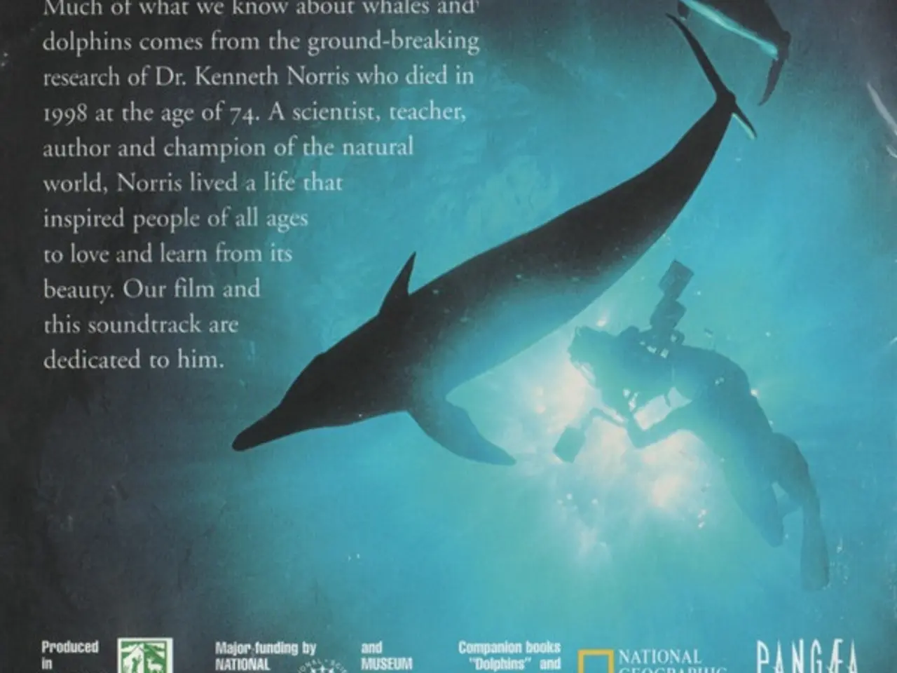 Billede 3 - Sting, Steve Wood – Dolphins (Soundtrack… – CD