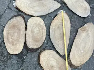 Træ skiver