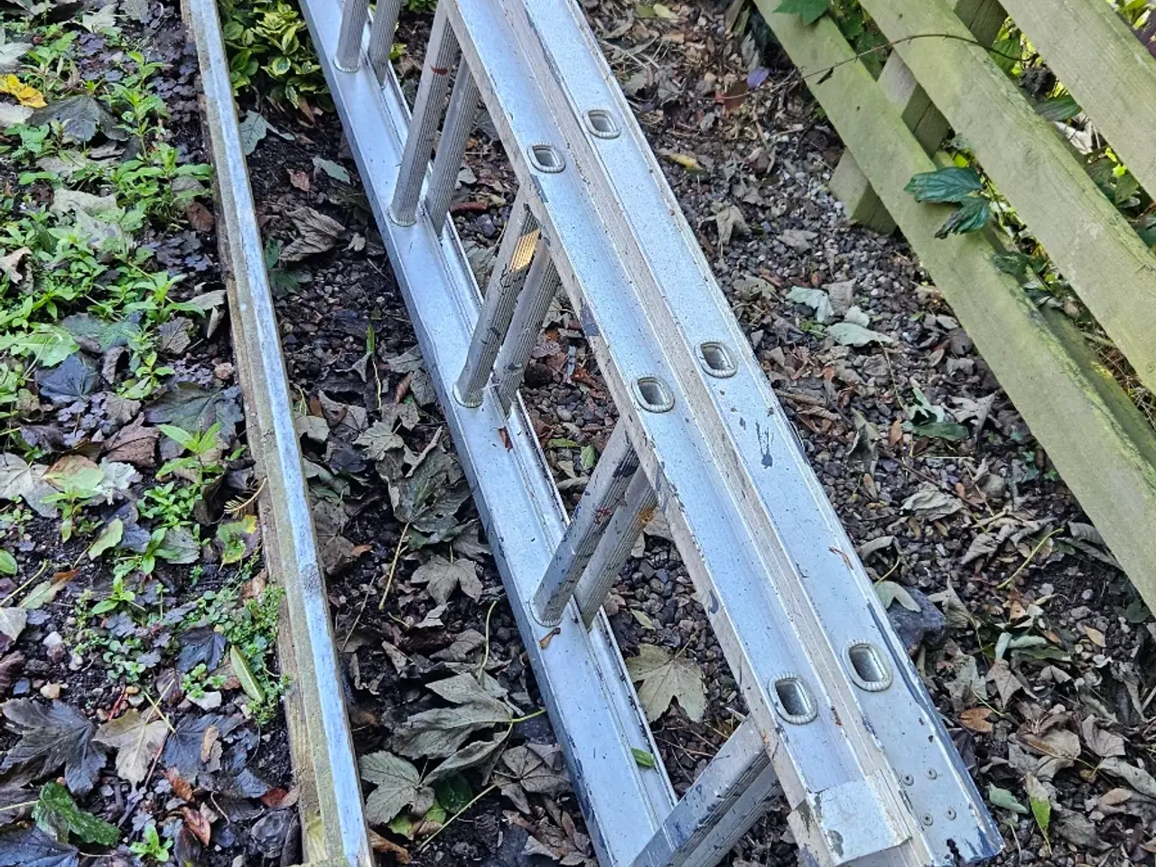 Billede 1 - Alustige 6 meter