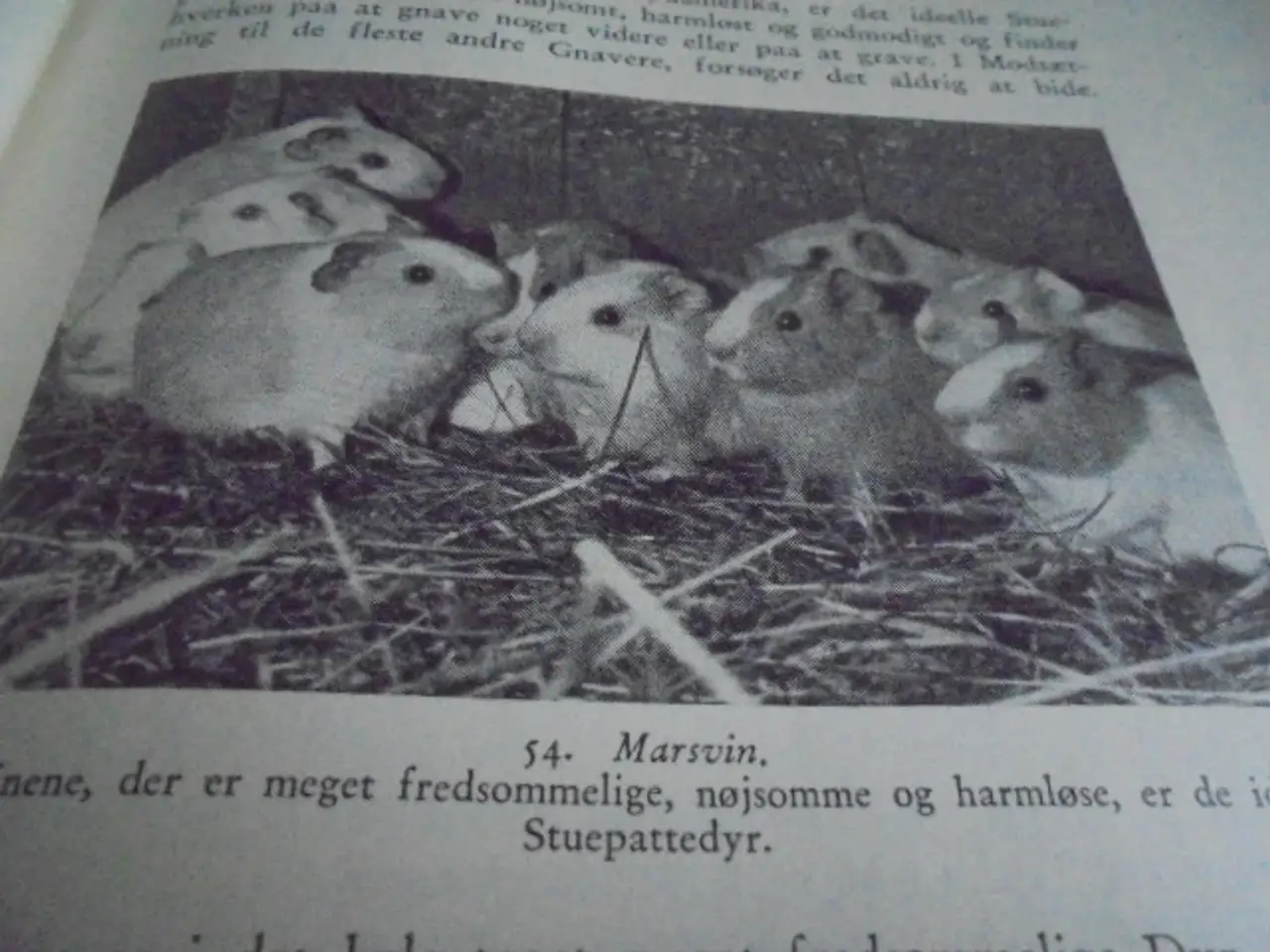 Billede 8 - Natursamleren – Hans Hvass – udg. fra 1942