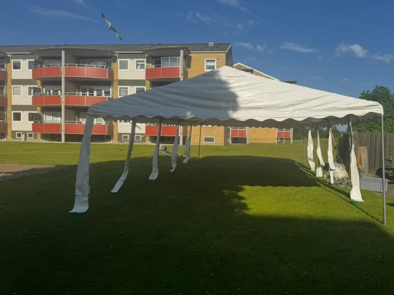 Billede 4 - Festtelt 5x10 m inkl. opsætning – kun 2.999 kr.