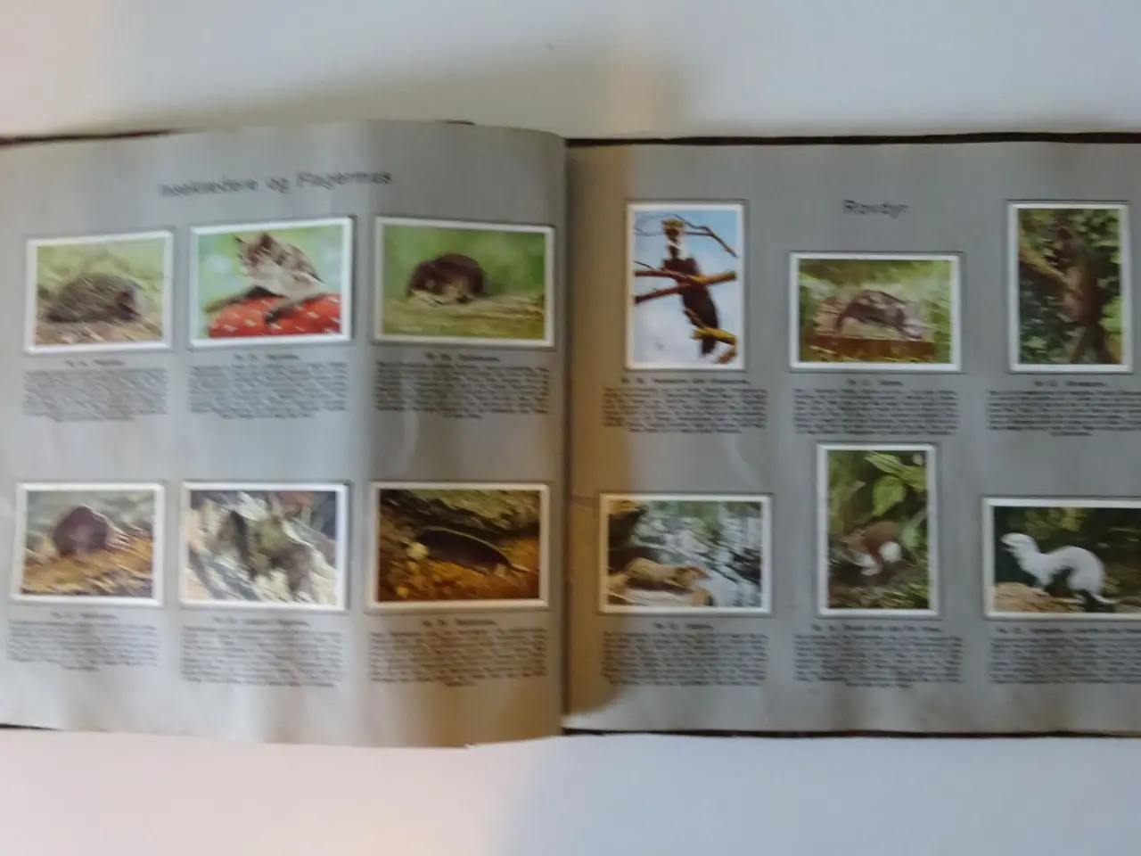 Billede 2 - Richs Album