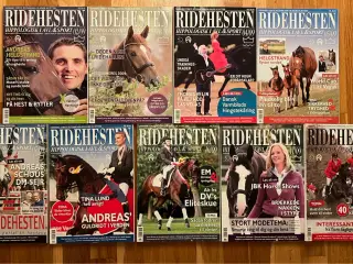 Ridehesten 2009