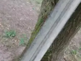Fodertrug til høns (fjerkræ)