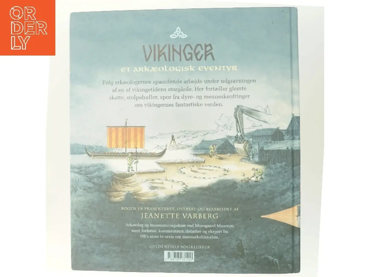 Billede 3 - Vikinger : et arkæologisk eventyr af Mats Vänehem (Bog)