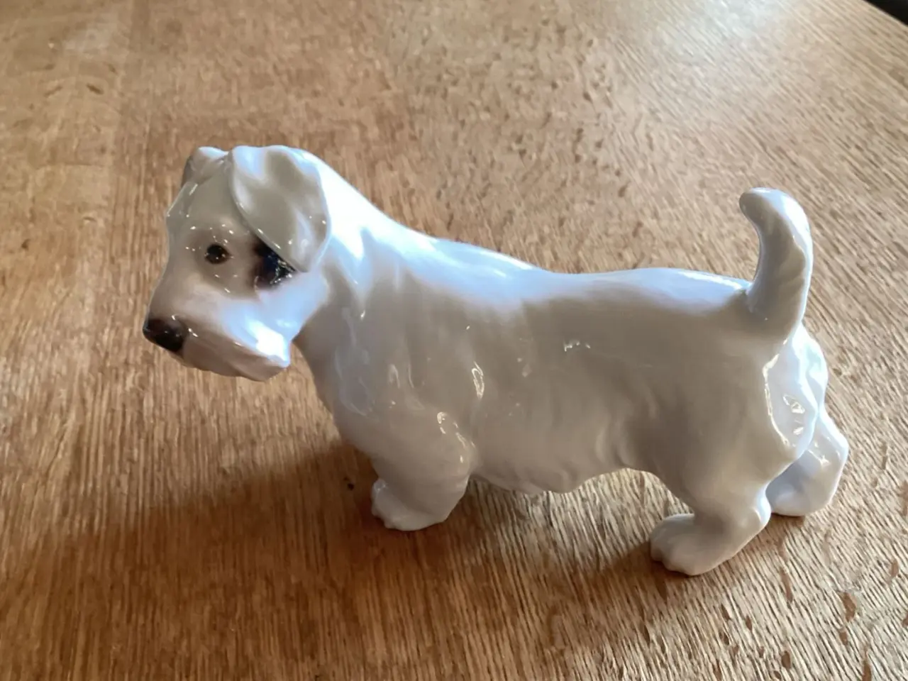 Billede 1 - Bg Skotsk Terrier Hund