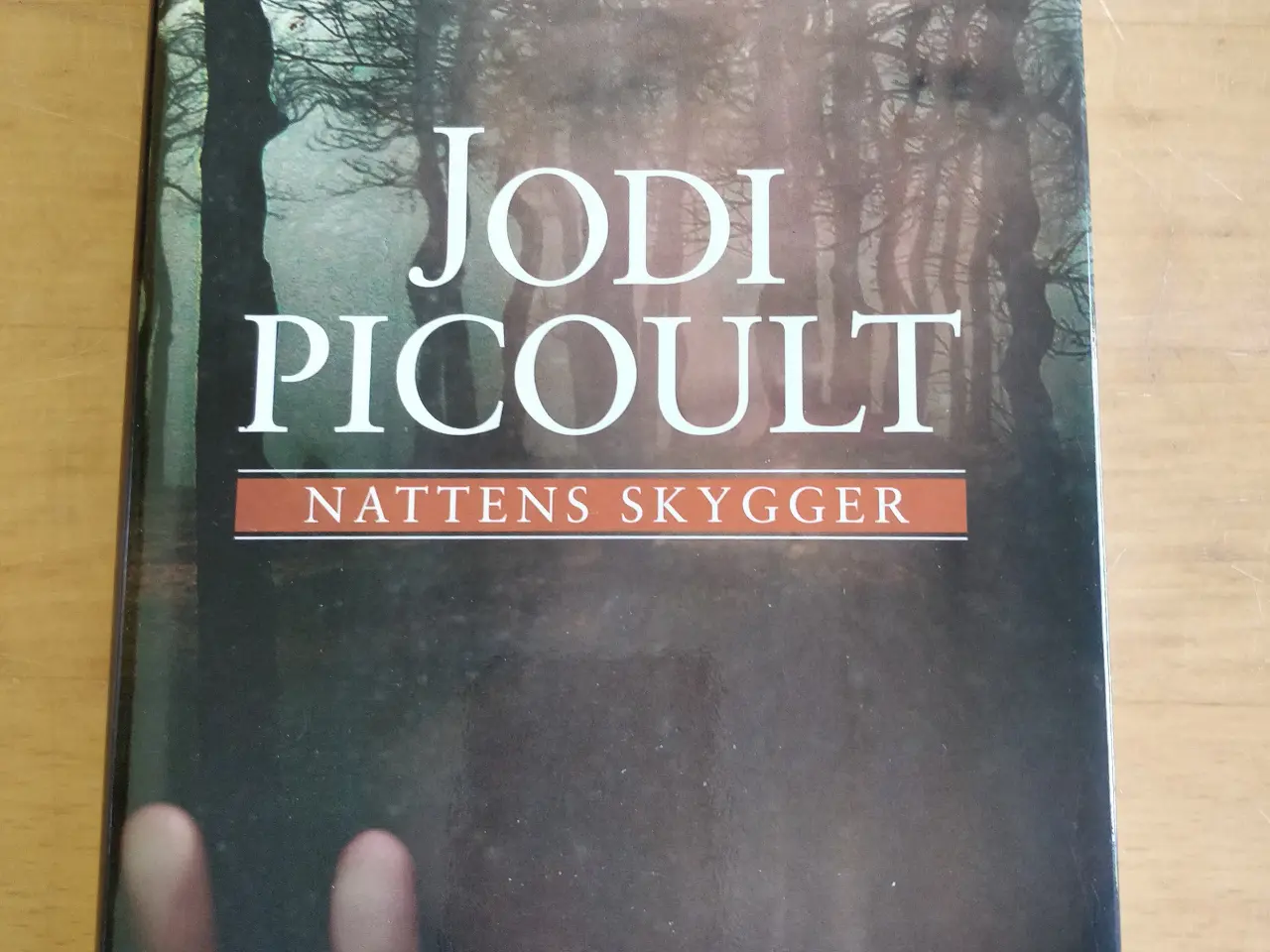 Billede 1 - Nattens skygger